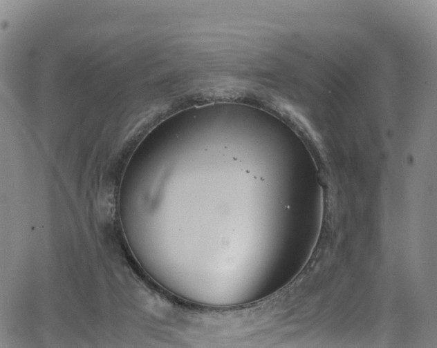 X0000062930017200601181321