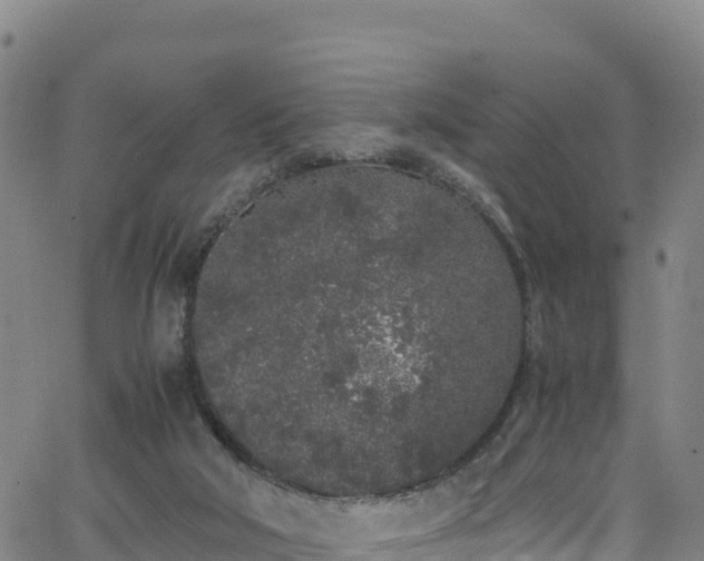 X0000062930018200601181321