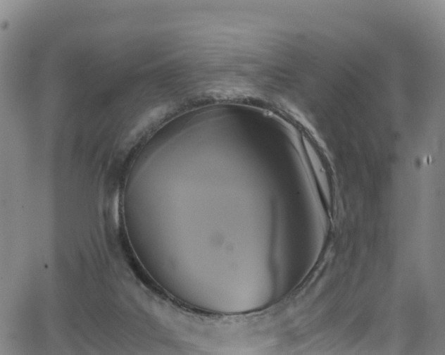 X0000062930019200601181321