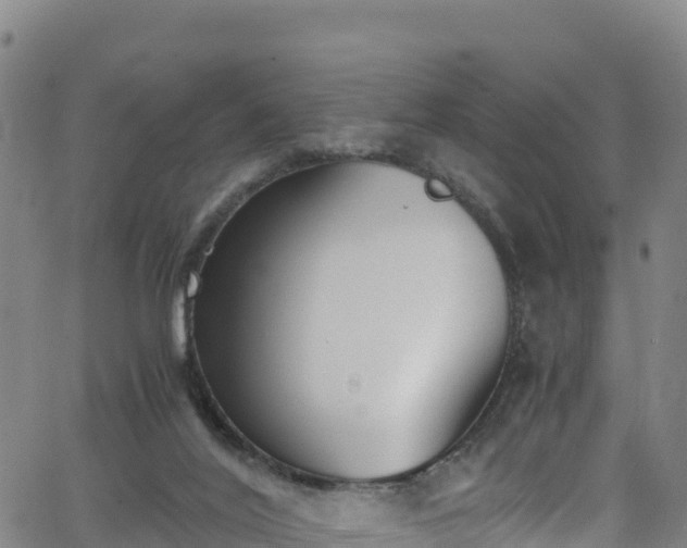 X0000062930020200601181321