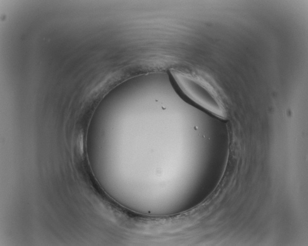 X0000062930021200601181321