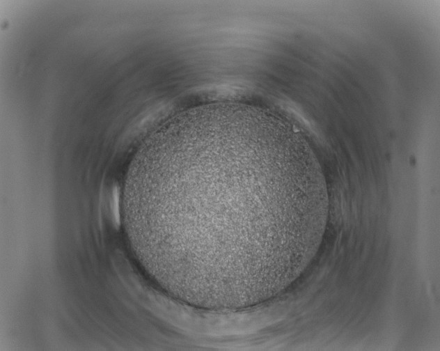 X0000062930022200601181321