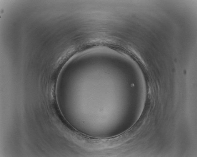 X0000062930023200601181321