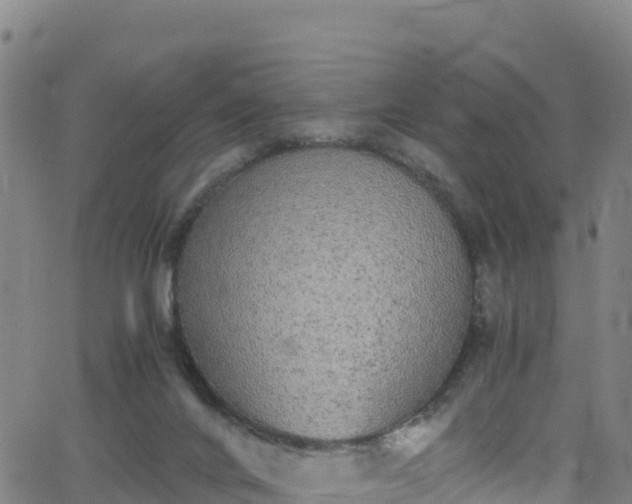 X0000062930024200601181321