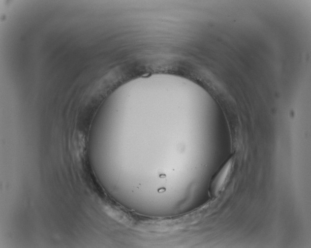 X0000062930025200601181321