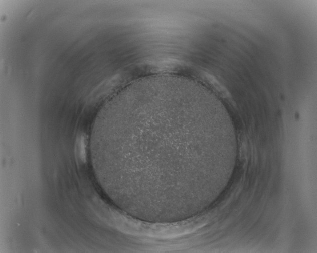 X0000062930026200601181321