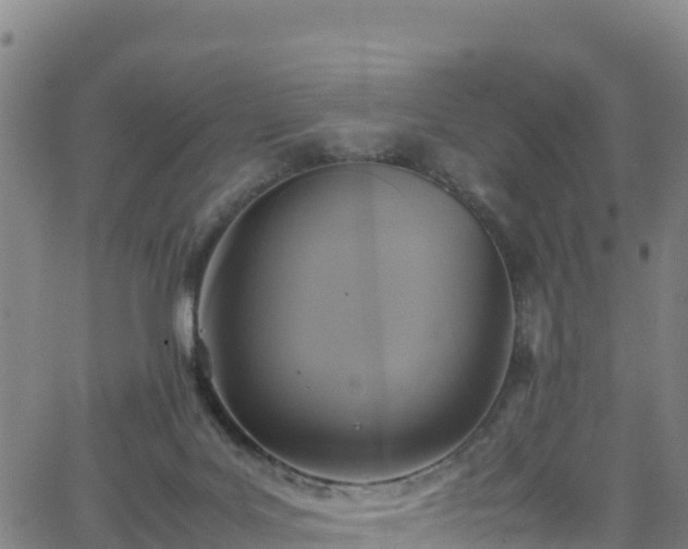 X0000062930027200601181321