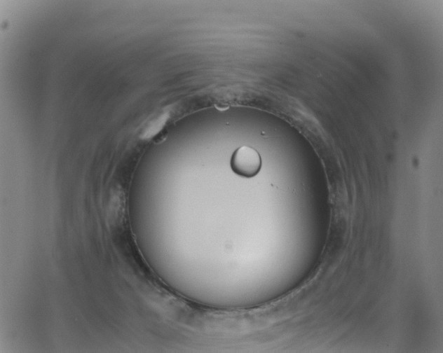 X0000062930029200601181321