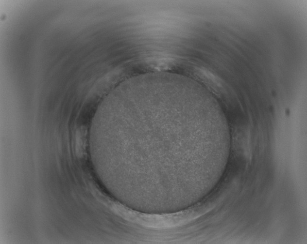 X0000062930030200601181321