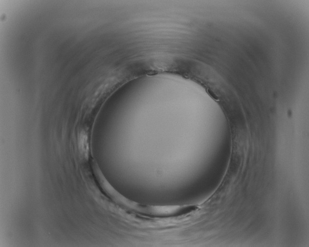 X0000062930031200601181321