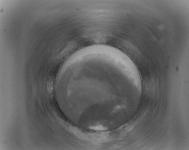 X0000062930032200601181321