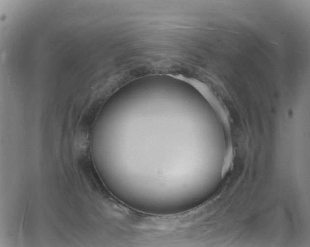 X0000062930033200601181321