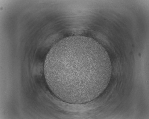 X0000062930034200601181321