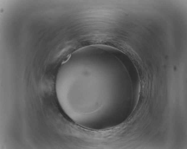 X0000062930035200601181321