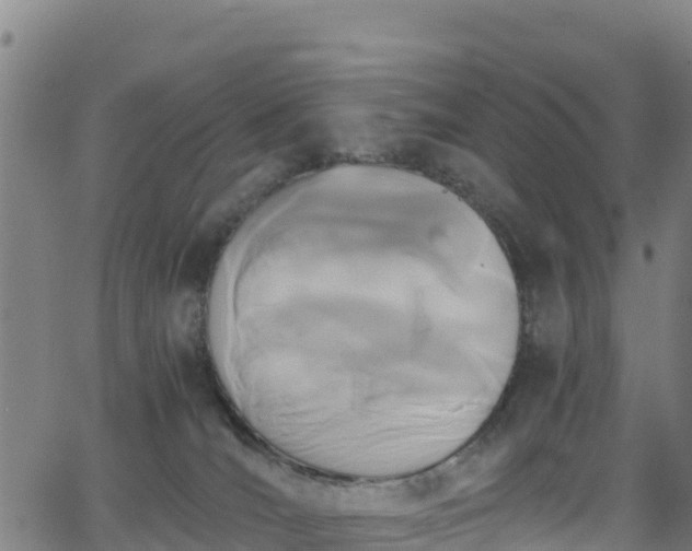 X0000062930036200601181321