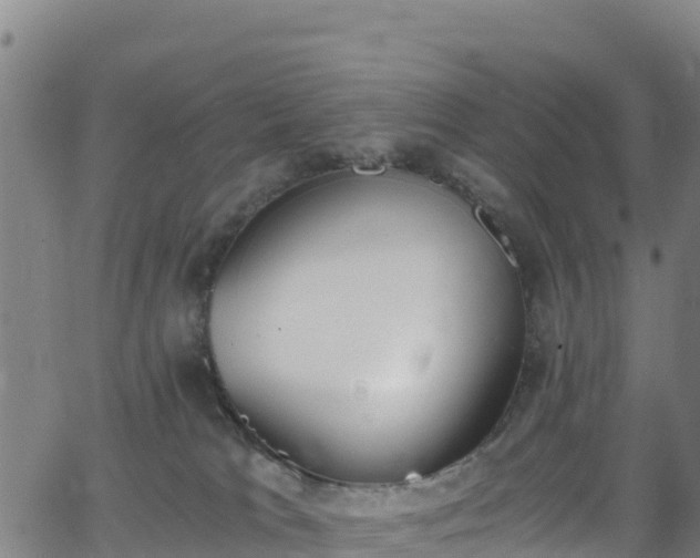 X0000062930037200601181321