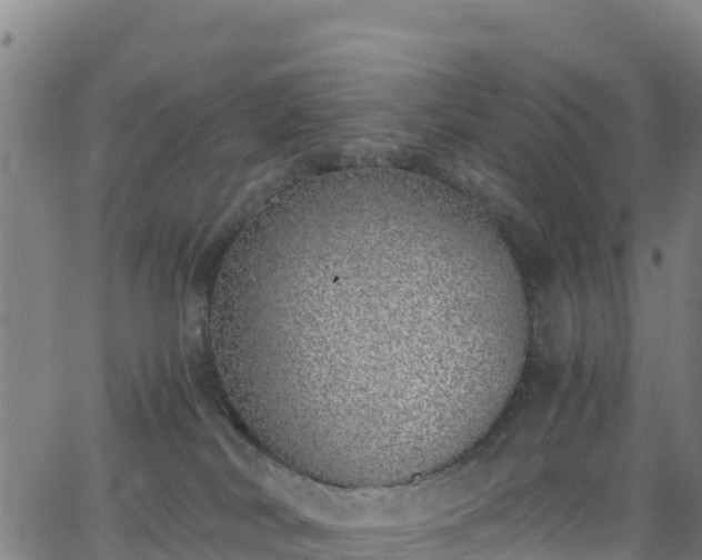 X0000062930038200601181321