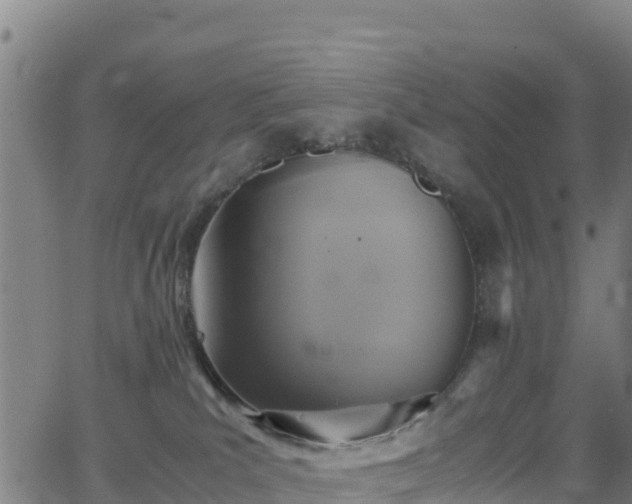 X0000062930039200601181321