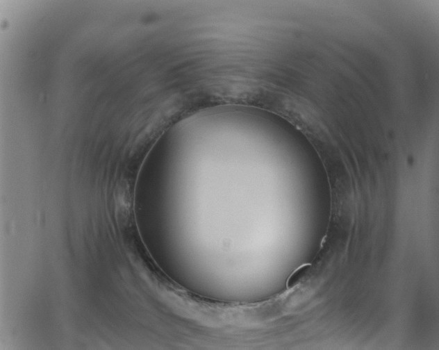 X0000062930040200601181321