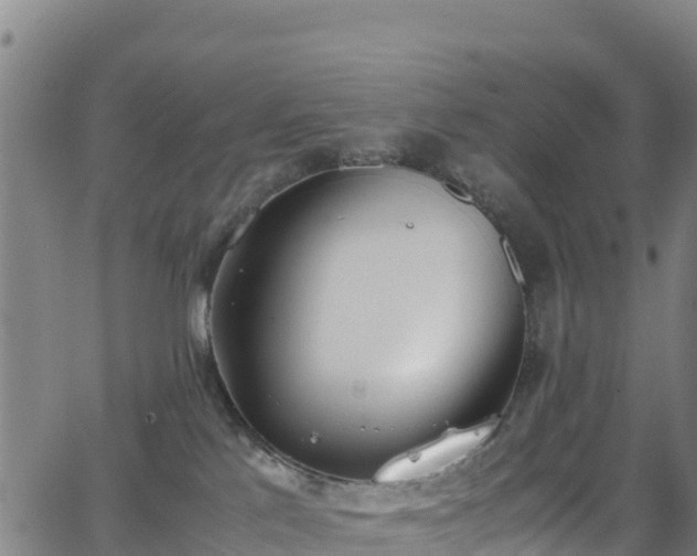 X0000062930041200601181321