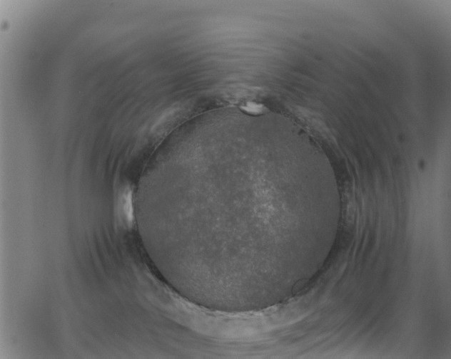 X0000062930042200601181320