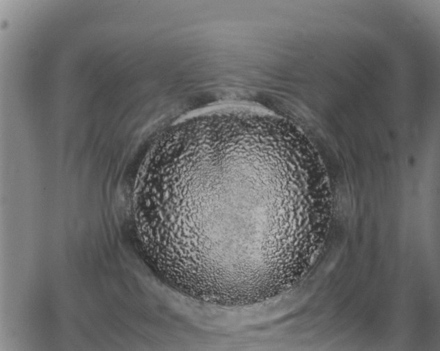 X0000062930043200601181320