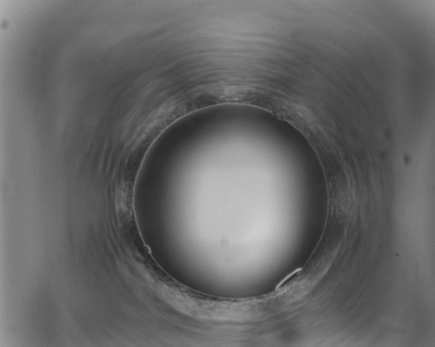 X0000062930044200601181320