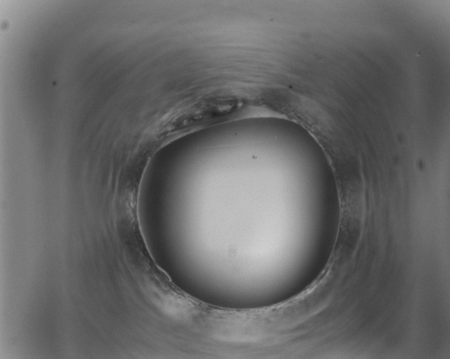 X0000062930045200601181320