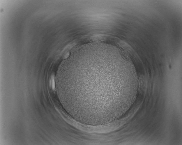 X0000062930046200601181320