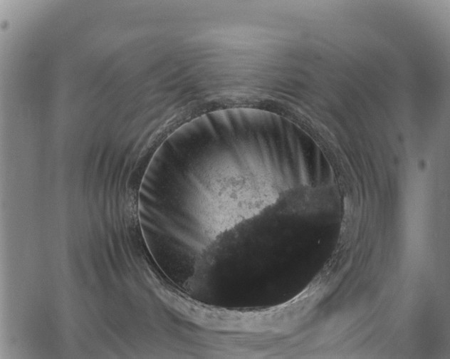 X0000062930048200601181320