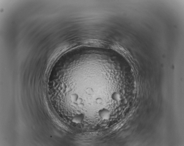 X0000062930049200601181320