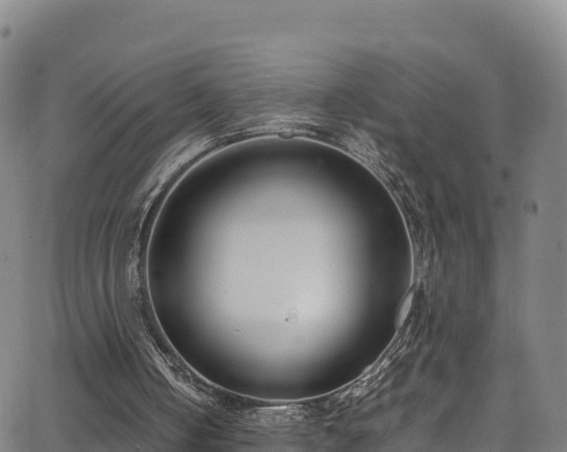 X0000062930050200601181320