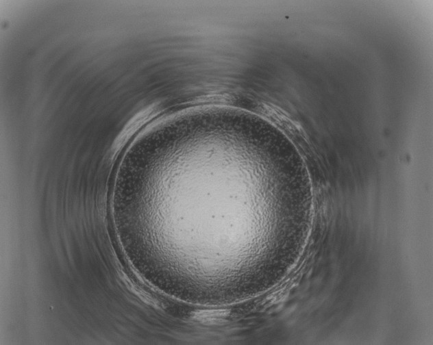 X0000062930051200601181320