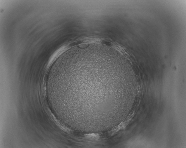 X0000062930053200601181320