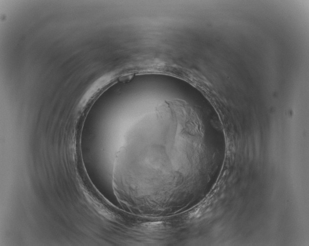 X0000062930054200601181320