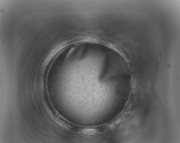 X0000062930055200601181320