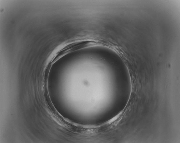 X0000062930056200601181320