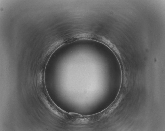 X0000062930057200601181320