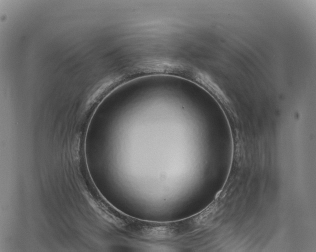 X0000062930058200601181320