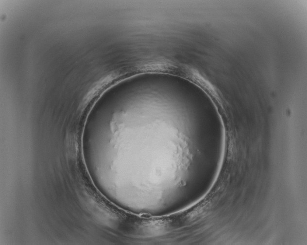 X0000062930059200601181320