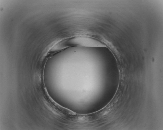 X0000062930060200601181320