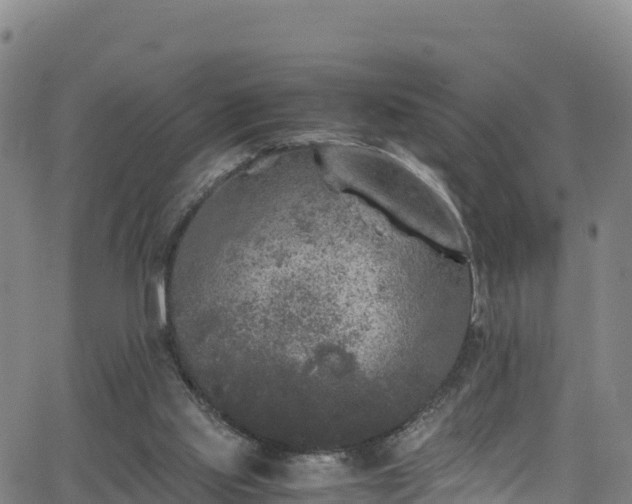 X0000062930061200601181320