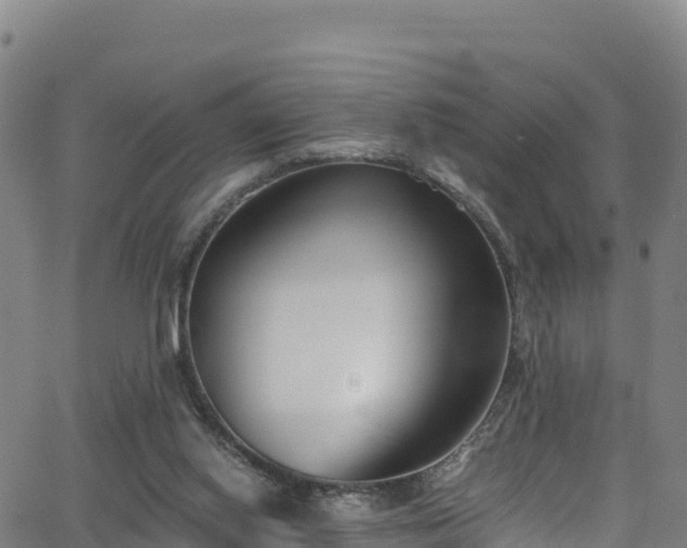 X0000062930062200601181320