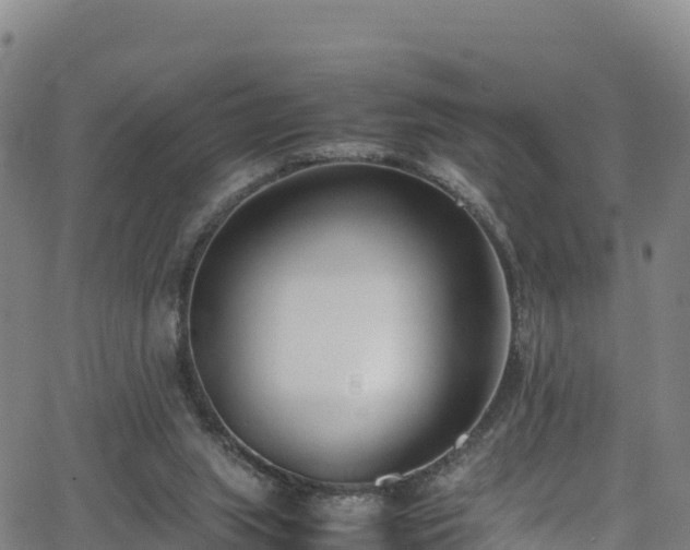 X0000062930063200601181320