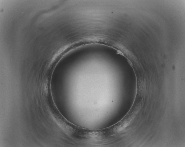 X0000062930064200601181320