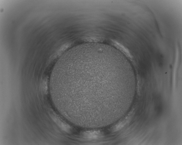 X0000062930065200601181320