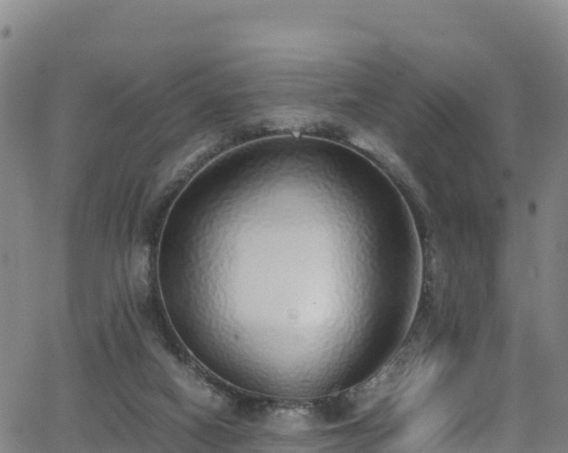 X0000062930066200601181320