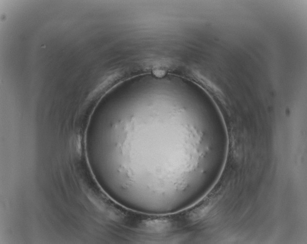 X0000062930067200601181320