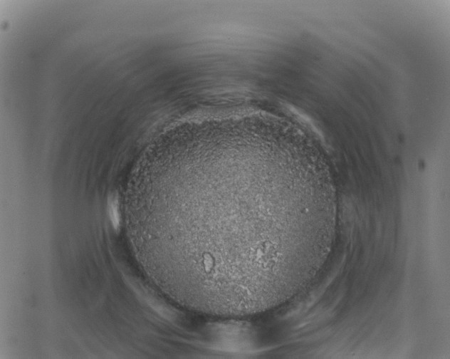 X0000062930069200601181320