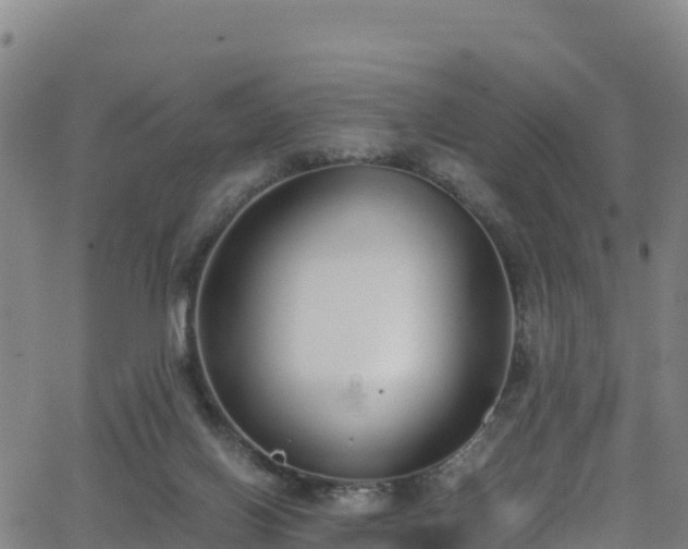 X0000062930070200601181320